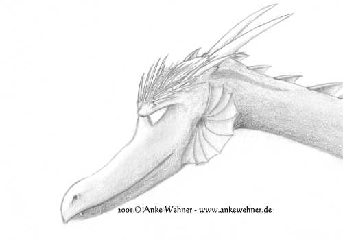 Dragon Portrait