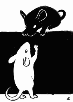 Black and White Mice Black and White Mice