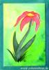 Floppy Flower
