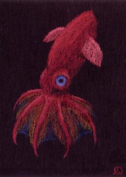Vampire Squid Vampire Squid