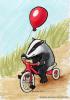 Badger at Play